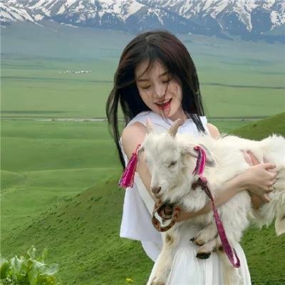 是咁的,法官阁下粤语